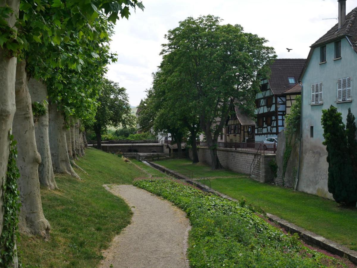 La Cour St-Fulrad - Les Suites Saint-Hippolyte Kültér fotó